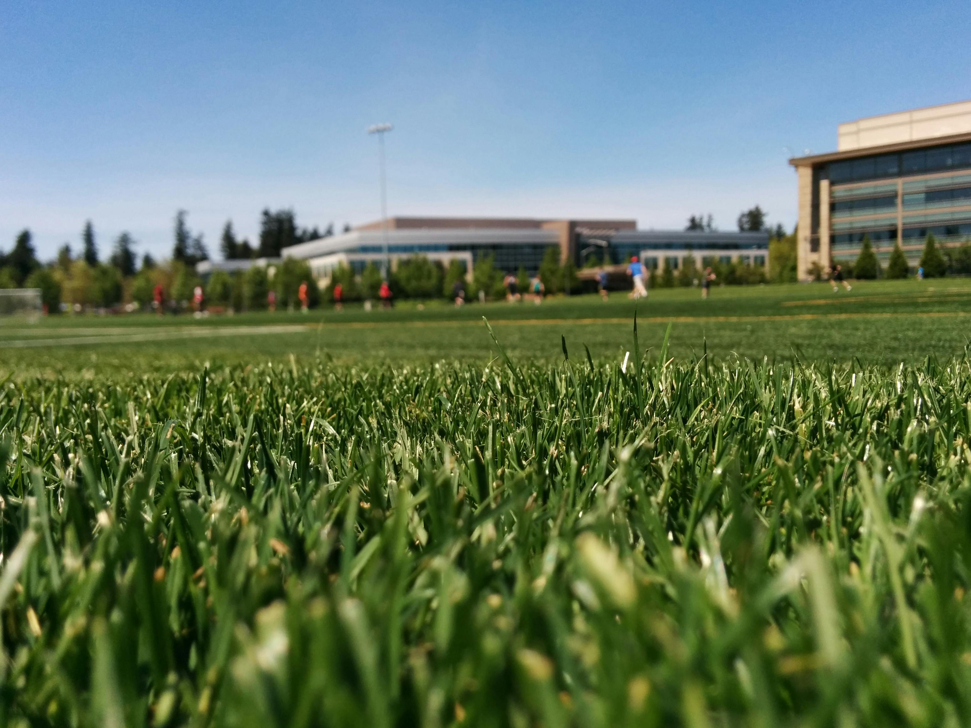 Soccer field background